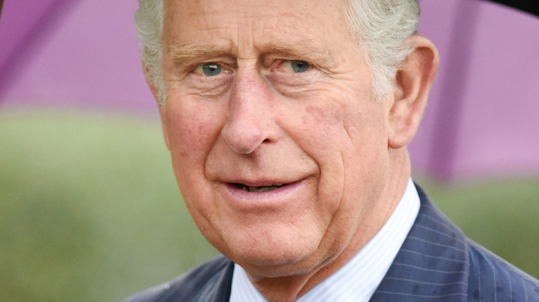 Prince Charles at event 