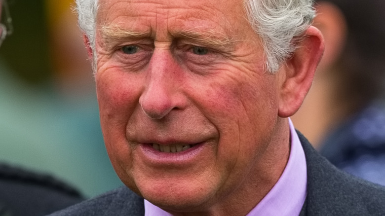 Prince Charles smiling