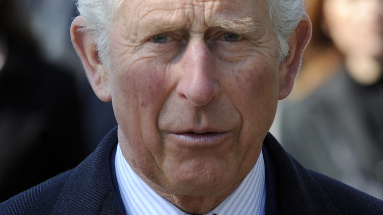 Prince Charles posing