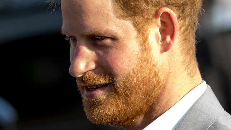 Prince Harry greeting people