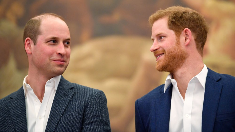 Prince William and Prince Harry