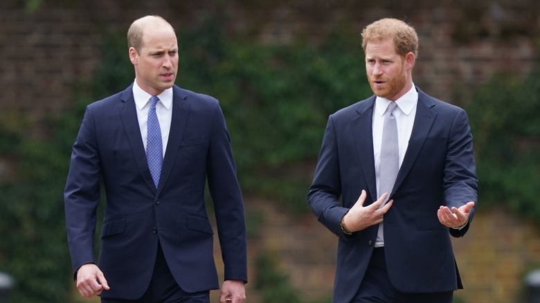Prince William and Prince Harry