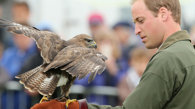 Prince William holding a bird