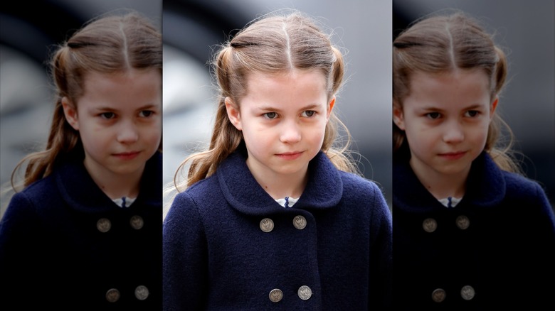 Princess Charlotte turns 6 dress