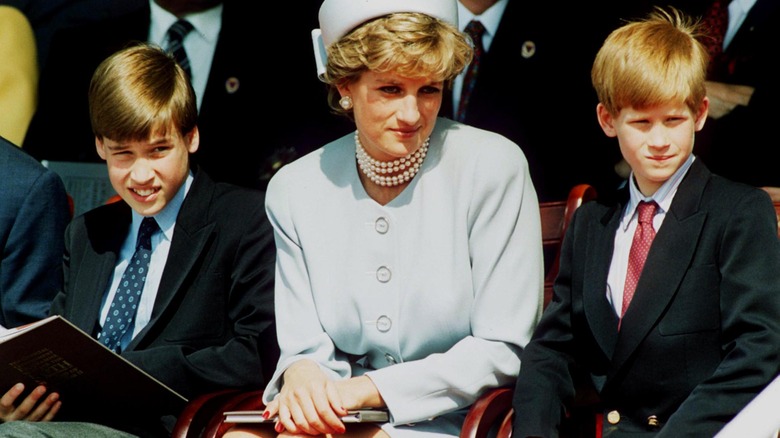 Princess Diana sons