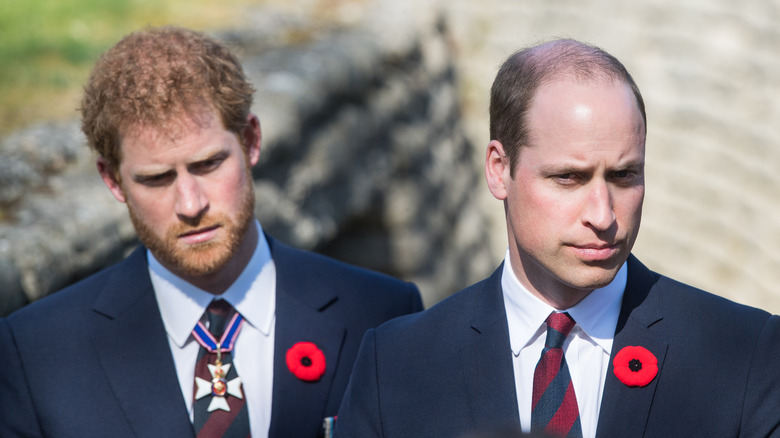 Prince Harry and Prince William