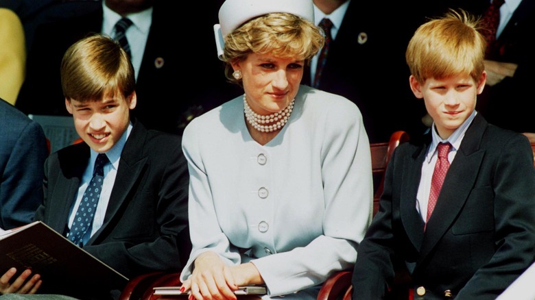 Prince William, Princess Diana, and Prince Harry