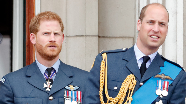 Prince Harry and Prince William look to the sky