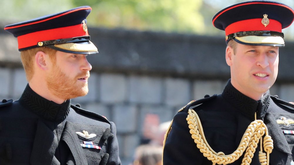 Prince Harry and Prince William