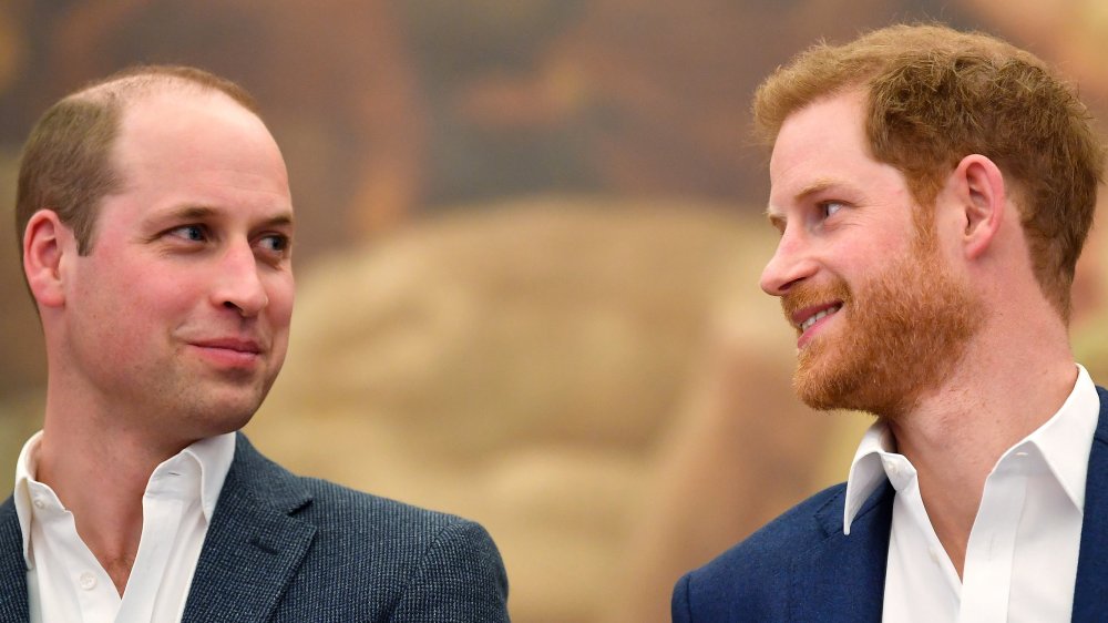 Prince William and Prince Harry