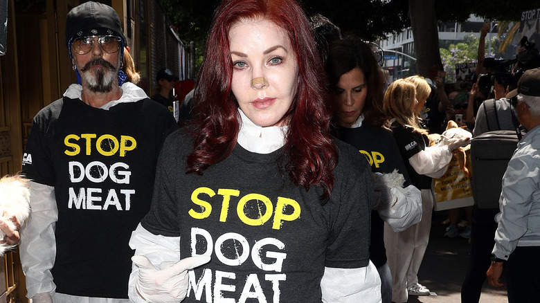 Priscilla Presley wearing 'Stop Dog Meat' shirt