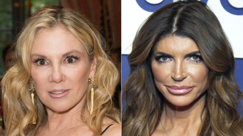 Ramona Singer posing, Teresa Giudice posing