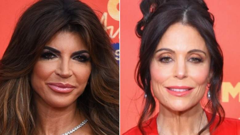 Teresa Giudice posing, Bethenny Frankel smiling