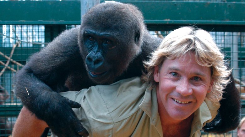 Steve Irwin