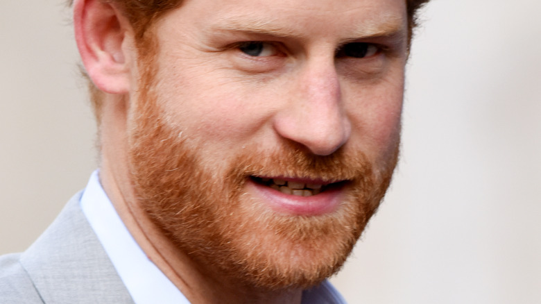 Prince Harry red beard