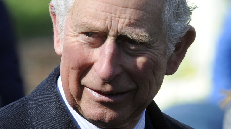 Prince Charles smiling