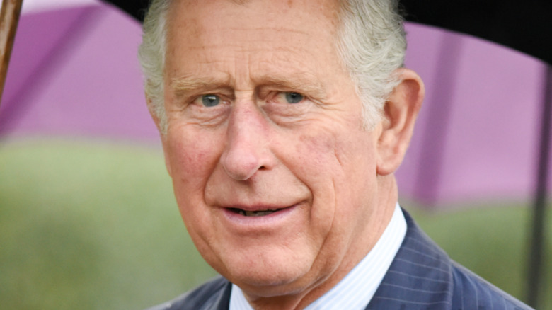 Prince Charles smiling