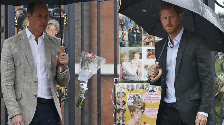 Prince William and Prince Harry at a memorial for Princess Diana
