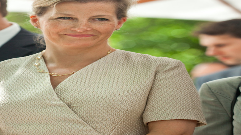 Sophie Wessex at an event