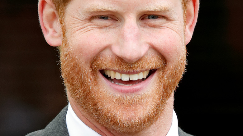 Prince Harry red beard