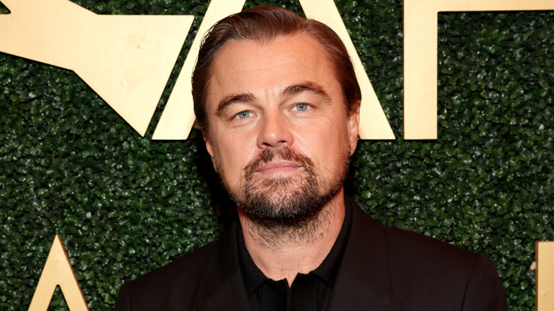 Leonardo DiCaprio smiling