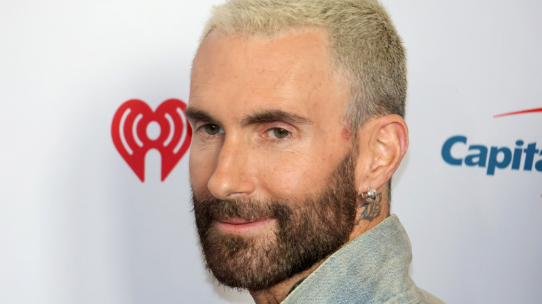 Adam Levine smirking on a red carpet