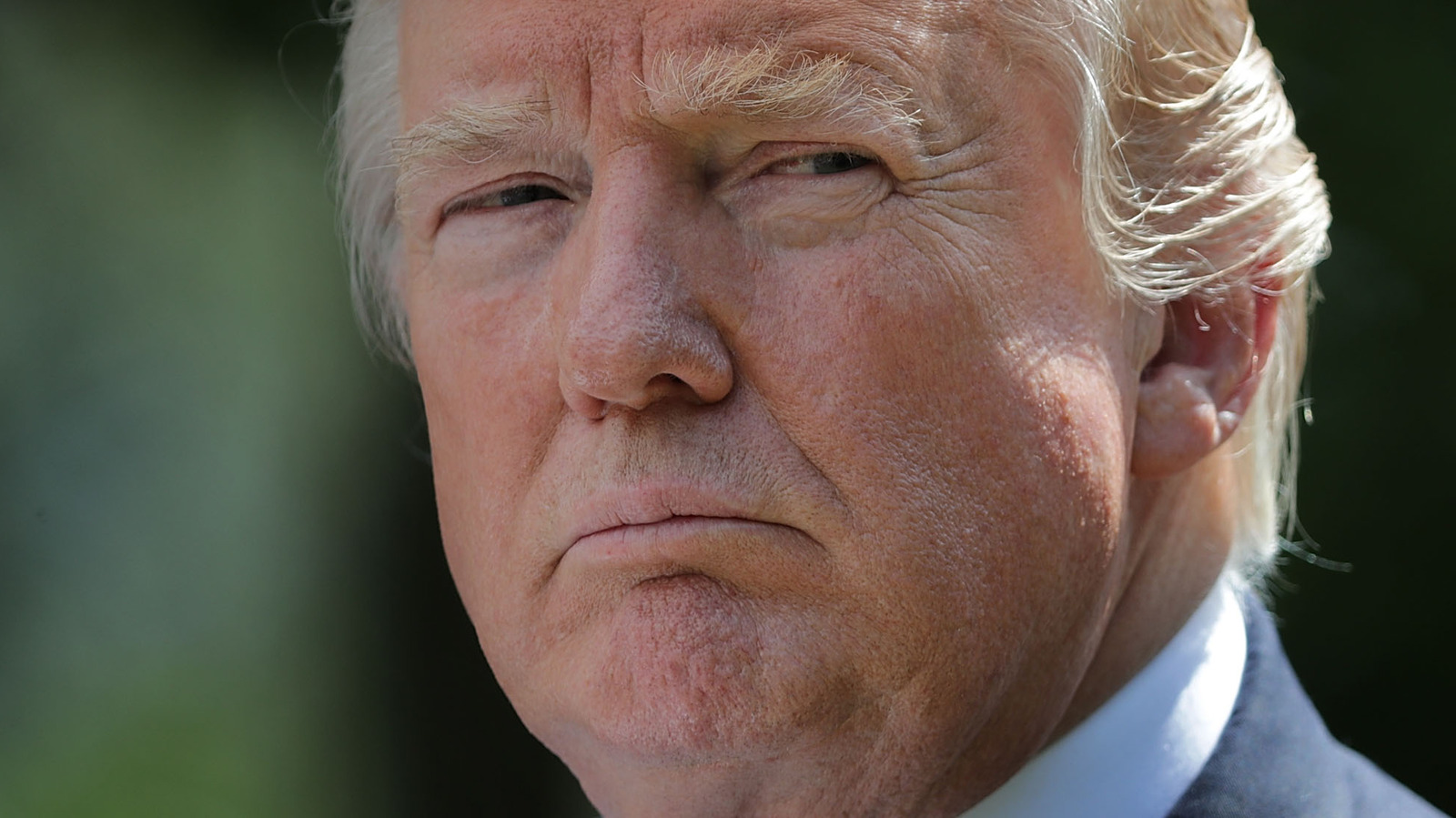 Sean Spicer Reveals Trump's Plans For 2024