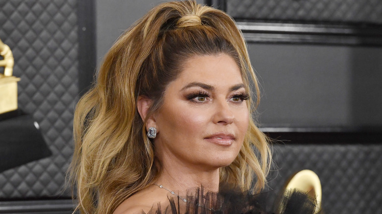 Shania Twain at the Grammys with a pony tail