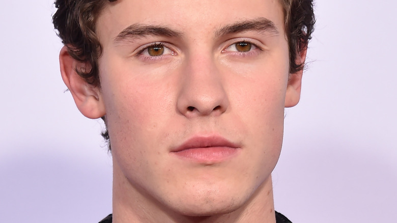 Shawn Mendes serious 