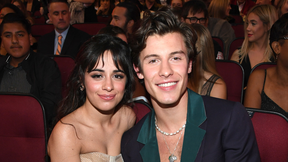 Shawn Mendes and Camila Cabello