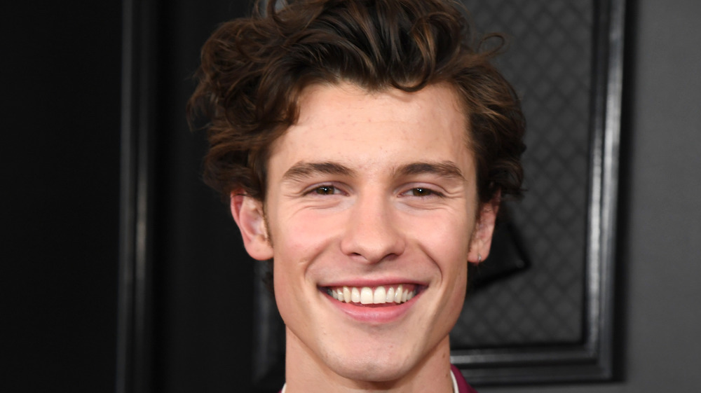 Shawn Mendes at the Grammy Awards