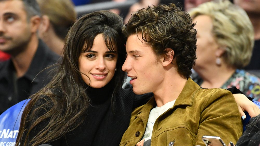 Camila Cabello and Shawn Mendes snuggling courtside 