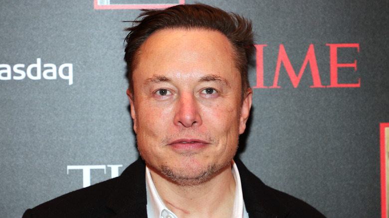Elon Musk on Time red carpet