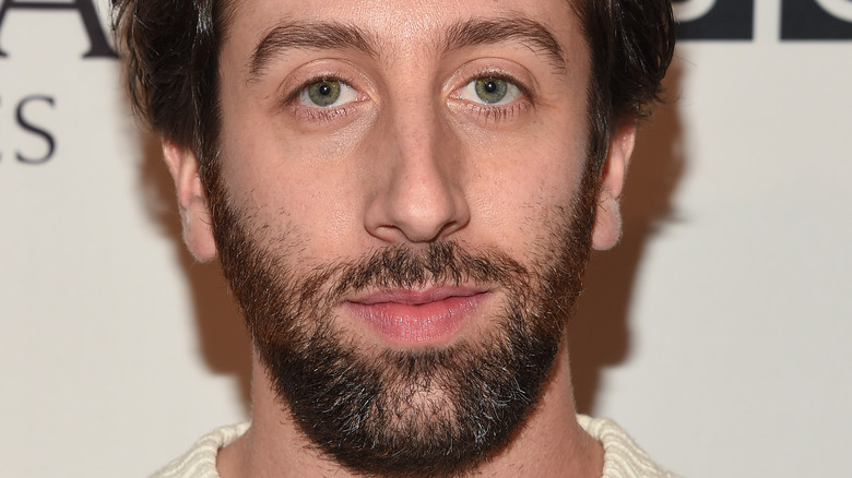 Simon Helberg poses in a sweater