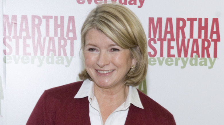 Martha Stewart in 2007 smiling in front of seamless with "Martha Stewart Everyday" text