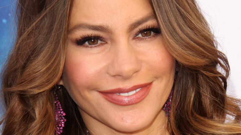 Sofia Vergara smile 