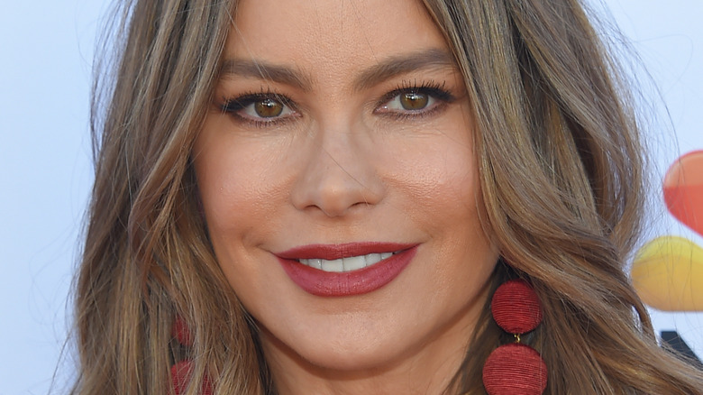 Sofia Vergara smiling