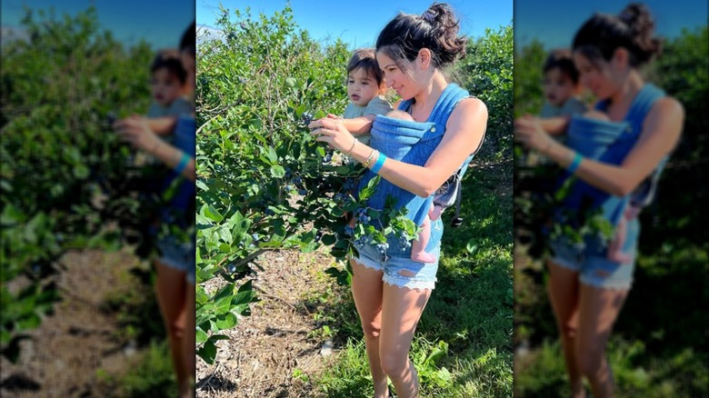 Katie Miller picking blueberries with her children.