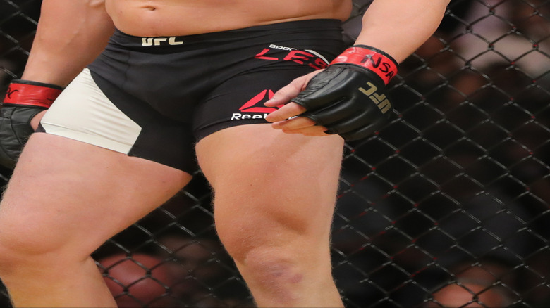 Brock Lesnar Mark Hunt fight 2016