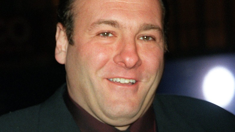 James Gandolfini smiling