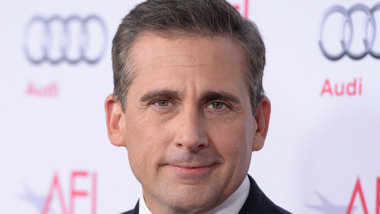 Steve Carrell smirking