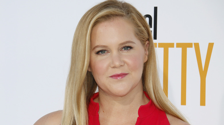 Amy Schumer wearing red