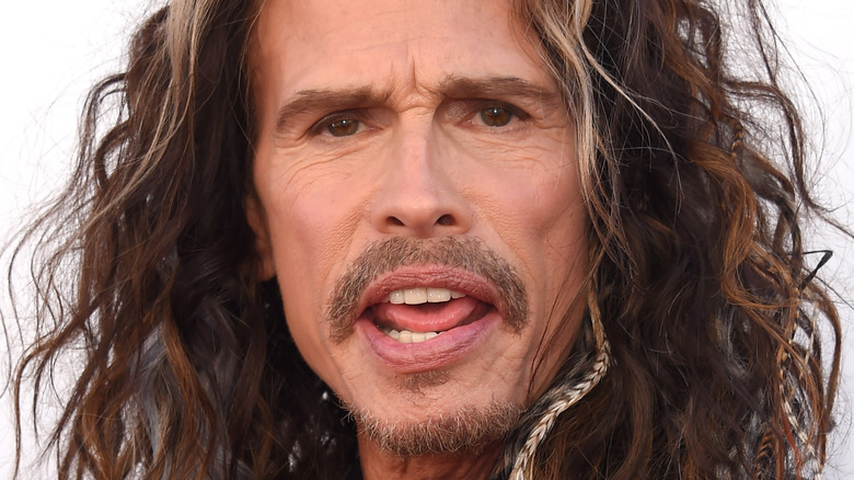 Steven Tyler with long curly hair