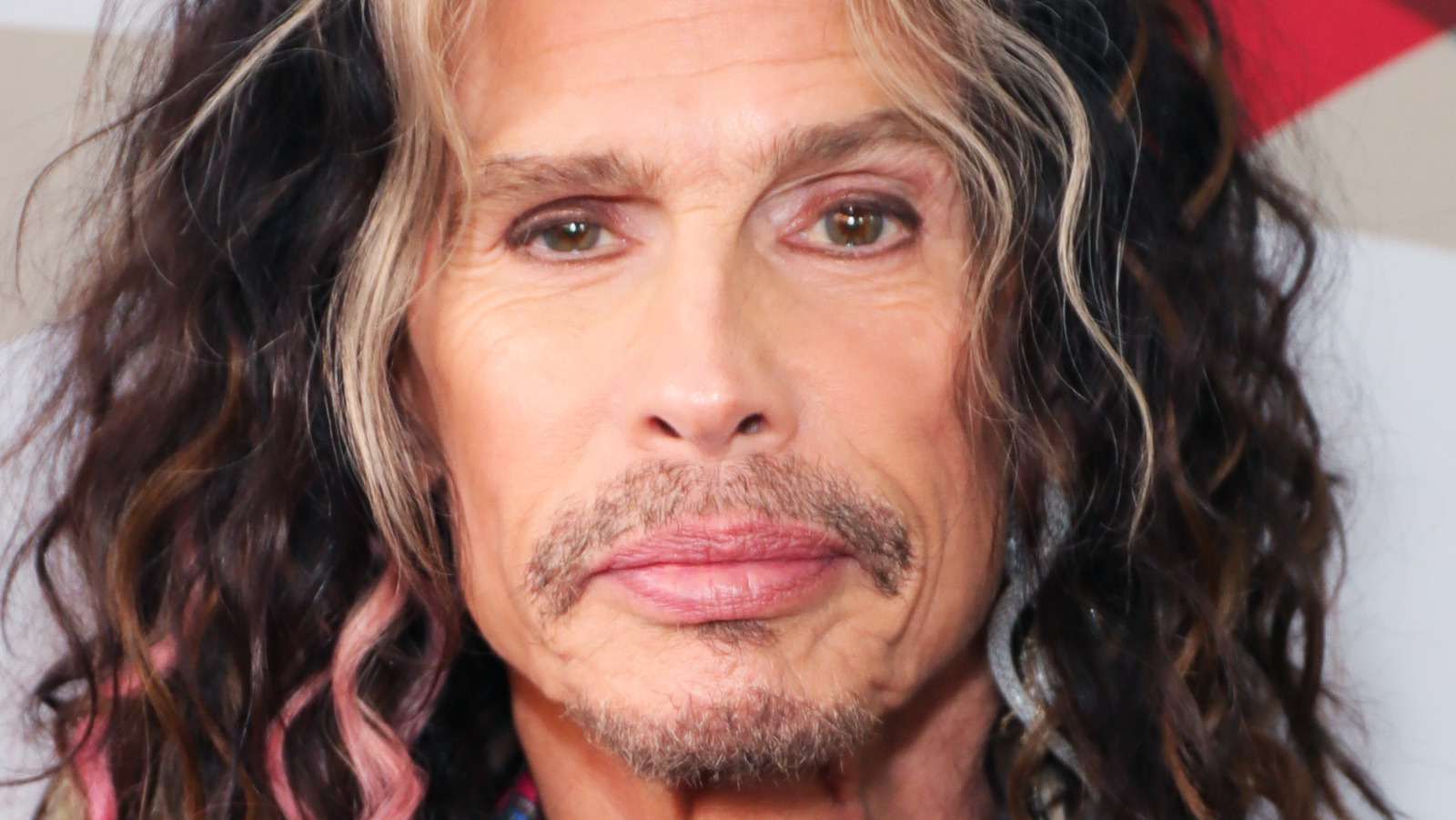 Steven Tyler's ExWives How Many Times Has The Rockstar Been Married