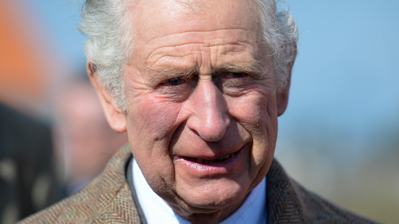 Prince Charles smiling