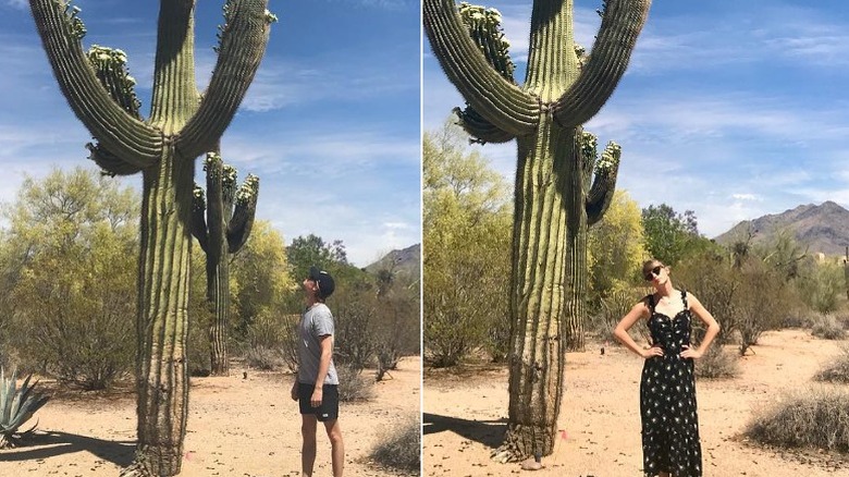 Taylor Swift, Joe Alwyn cactus pics