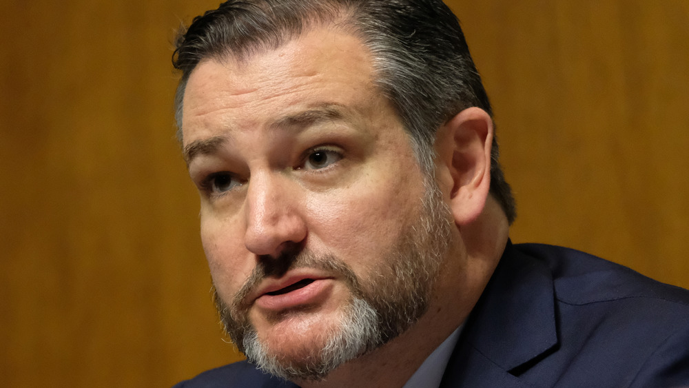 Ted Cruz speaking at committee hearing