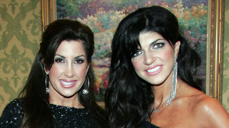 Jacqueline Laurita and Teresa Giudice posing at a 2010 event
