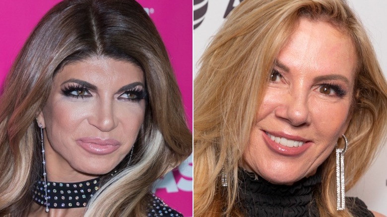 Teresa Giudice and Ramona Singer