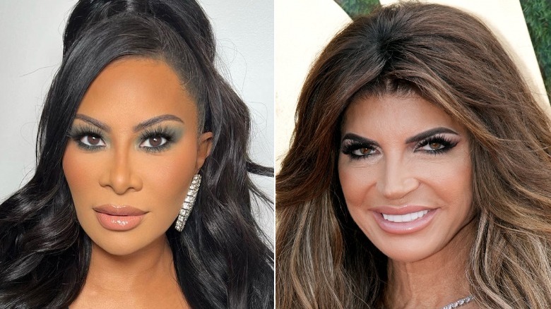 Jen Shah and Teresa Giudice posing for a picture